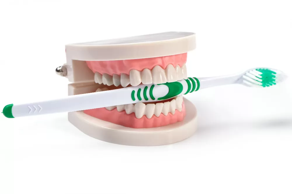 Diş arası temizliği neden bu kadar önemlidir?